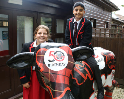The Cow Dresses Specially