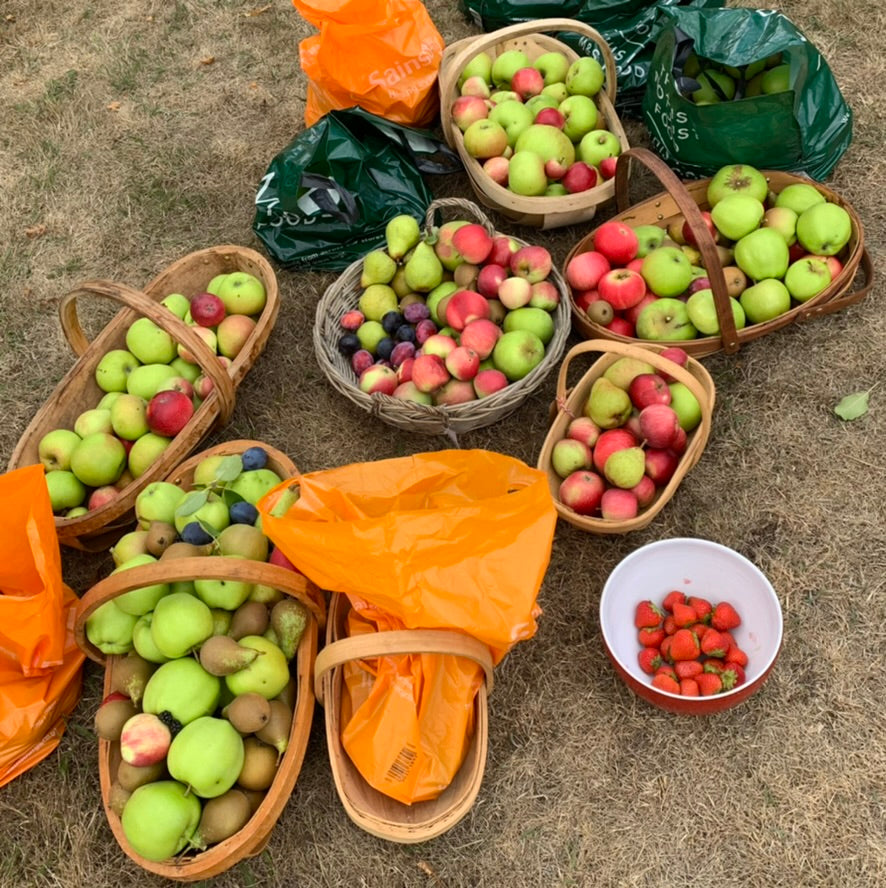 Harvest Festival